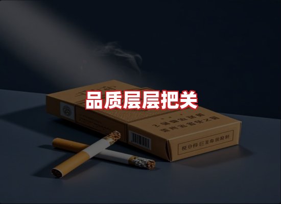 专业团队